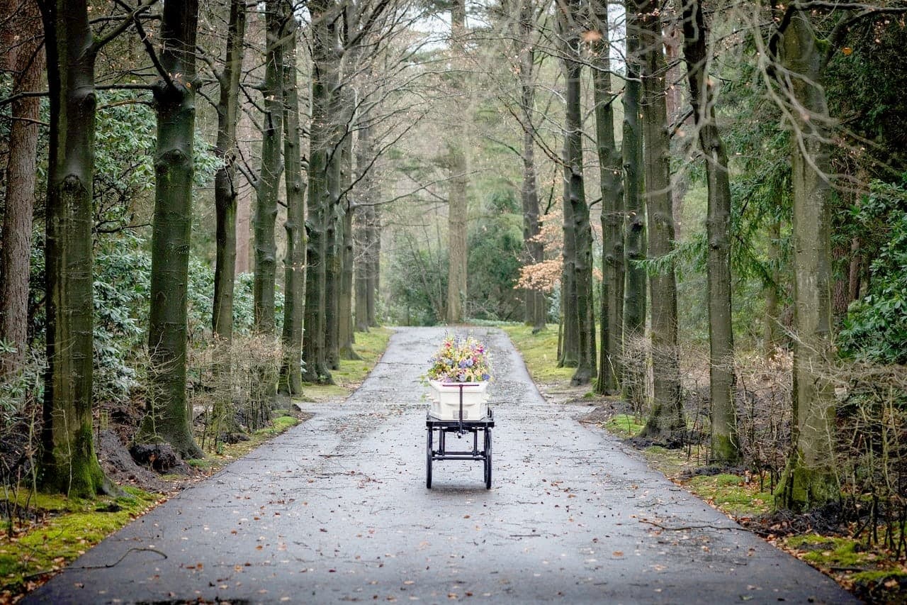 Een laatste tocht over een bospad, met bloemen op de baar